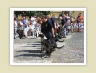 budavar06_62.jpg