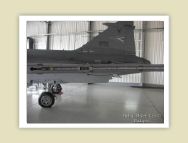 gripen_113.jpg
