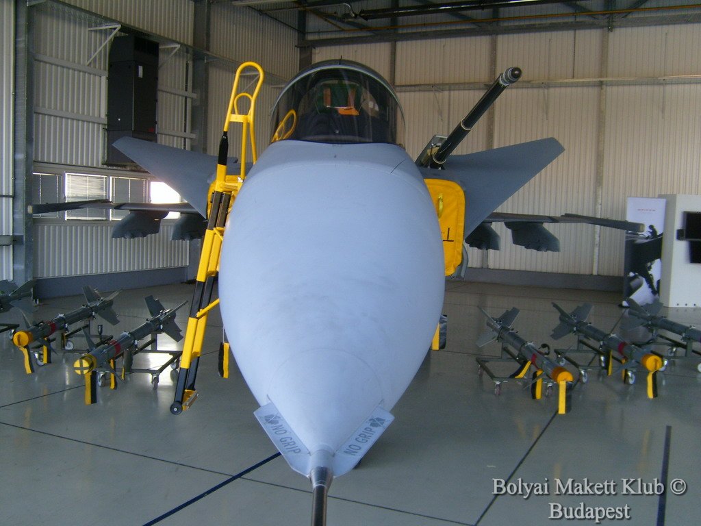 gripen_161.jpg