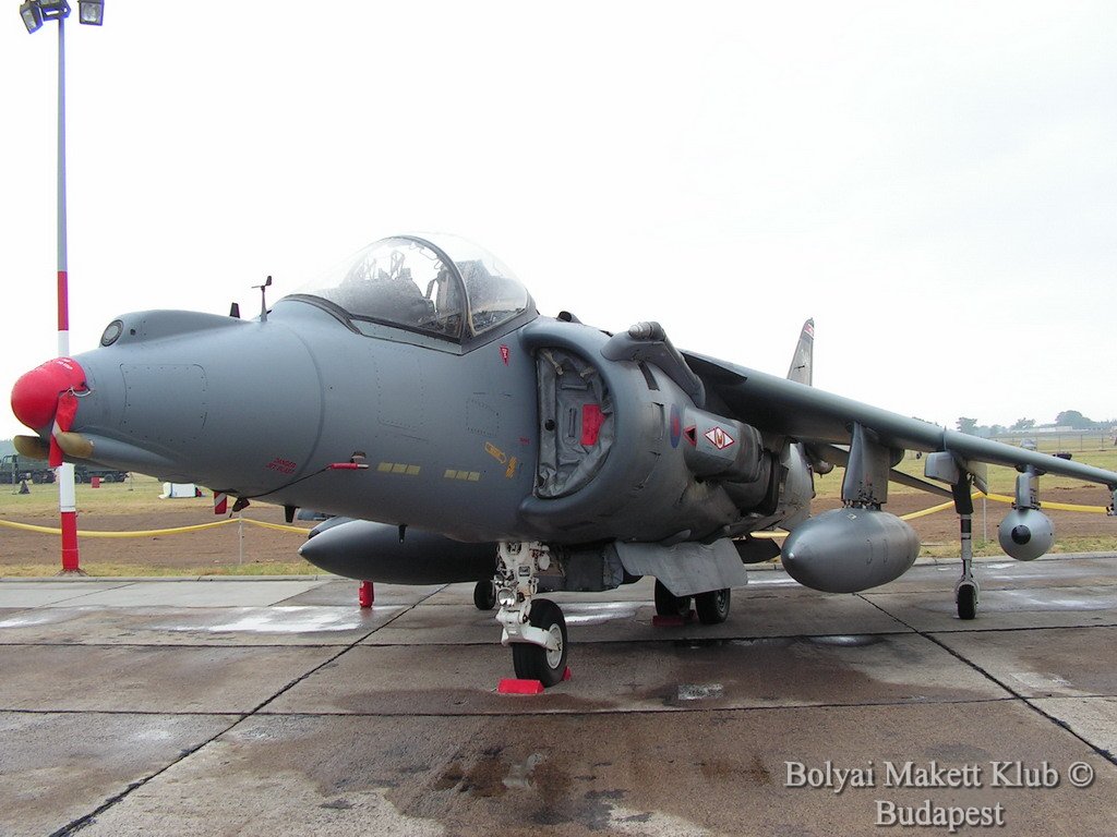harrier_001.jpg