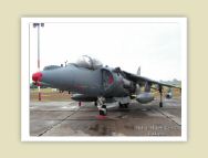 harrier_001.jpg