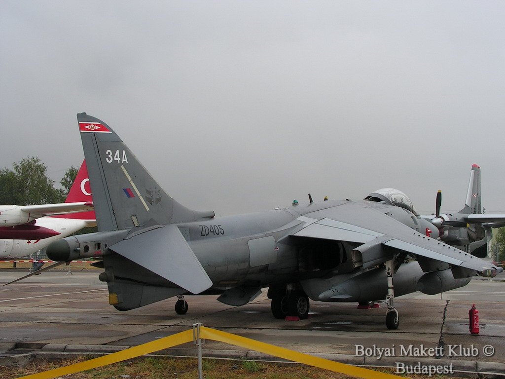 harrier_006.jpg