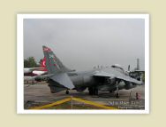 harrier_006.jpg