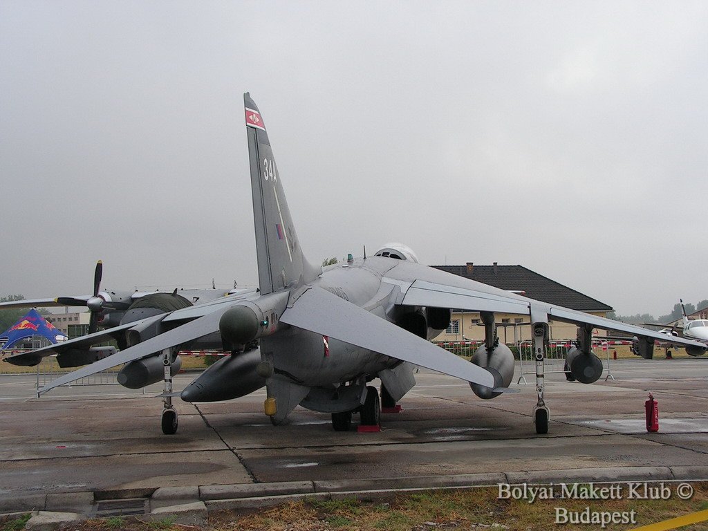 harrier_007.jpg