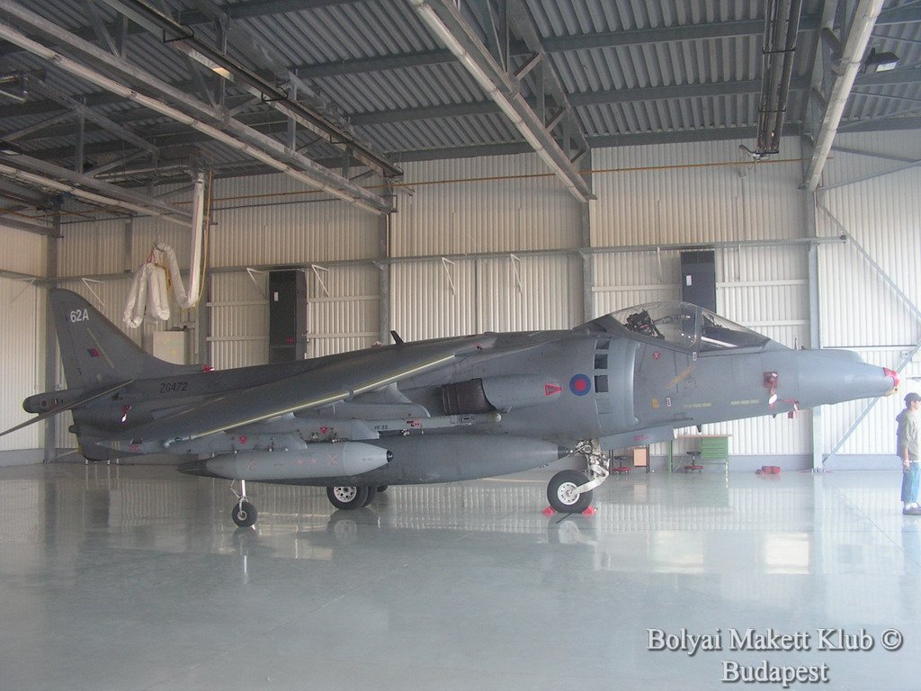 harrier_008.jpg