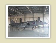 harrier_008.jpg