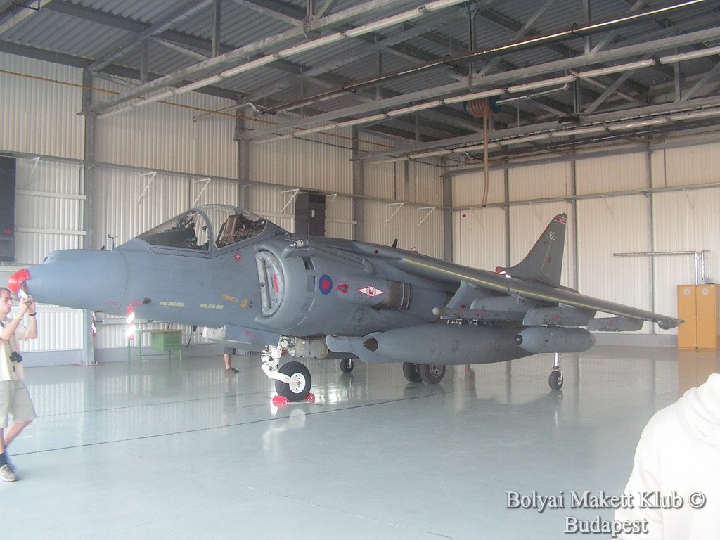 harrier_009.jpg
