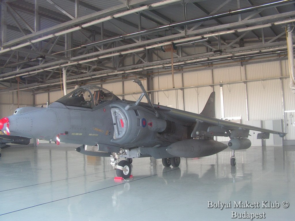 harrier_010.jpg