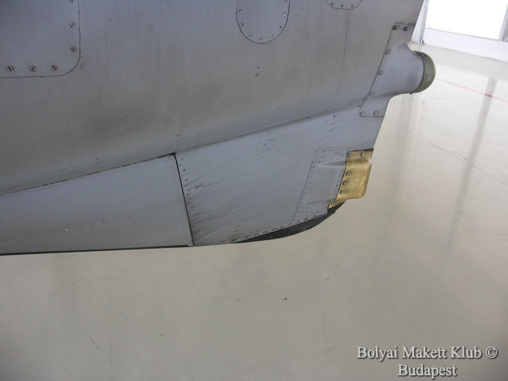 harrier_018.jpg
