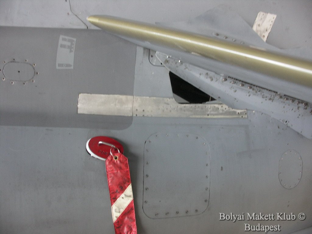 harrier_019.jpg
