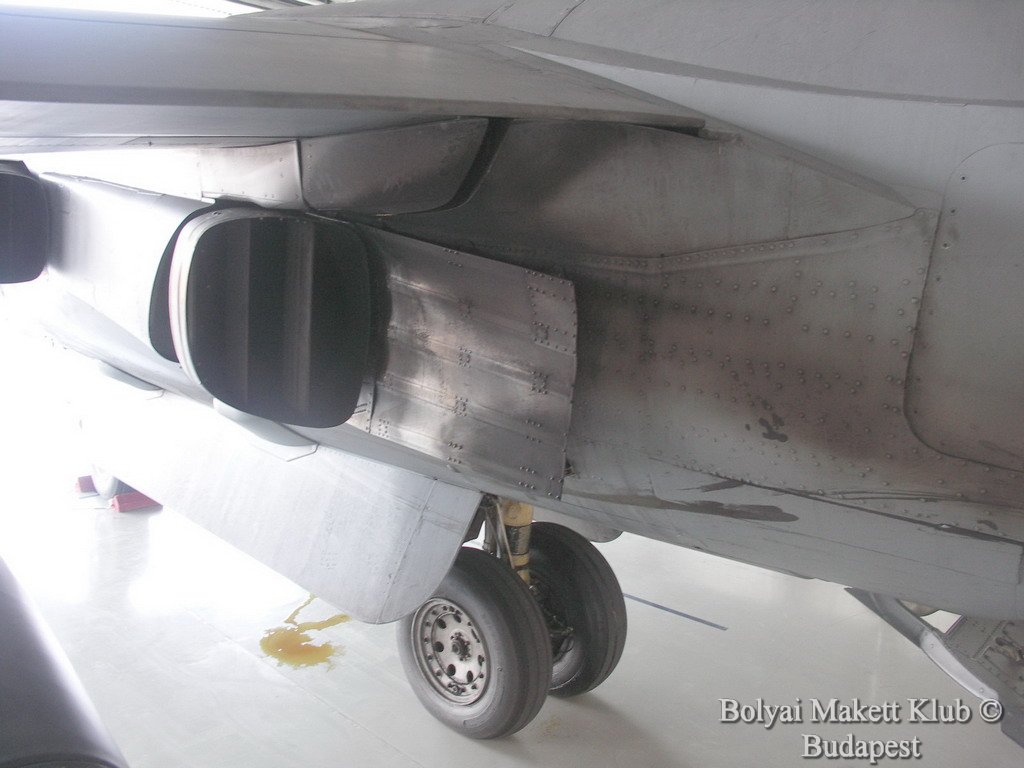harrier_023.jpg