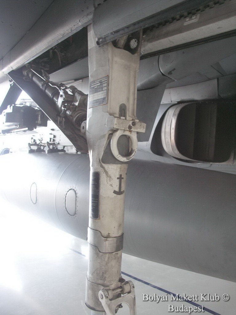 harrier_027.jpg