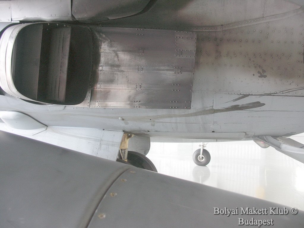 harrier_031.jpg