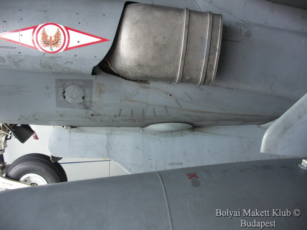 harrier_035.jpg