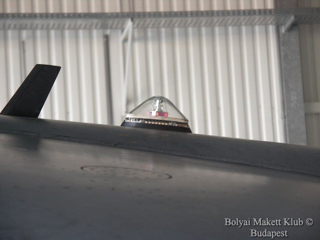 harrier_037.jpg