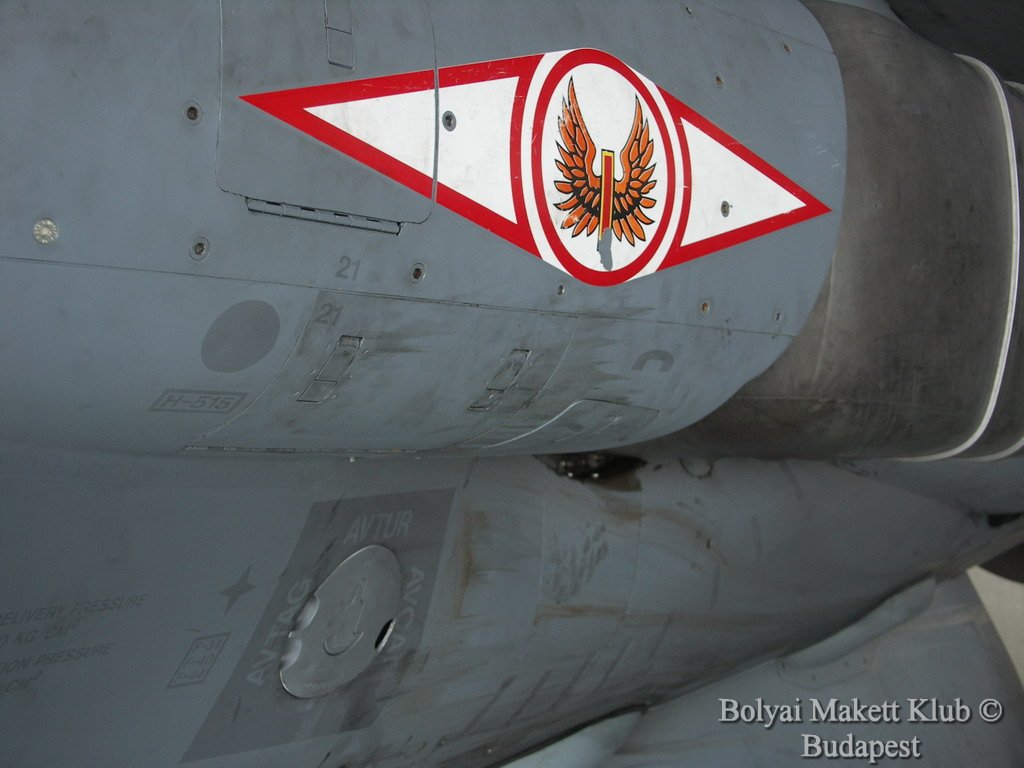 harrier_039.jpg