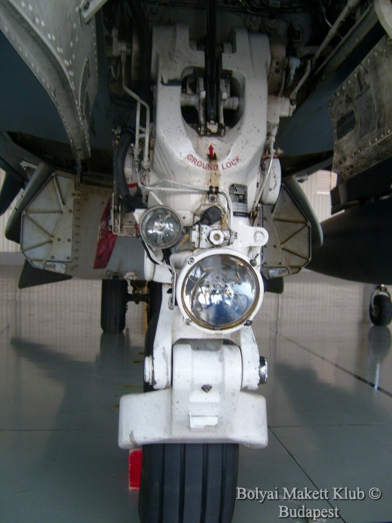 harrier_056.jpg