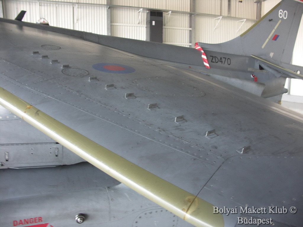 harrier_073.jpg