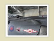 harrier_075.jpg