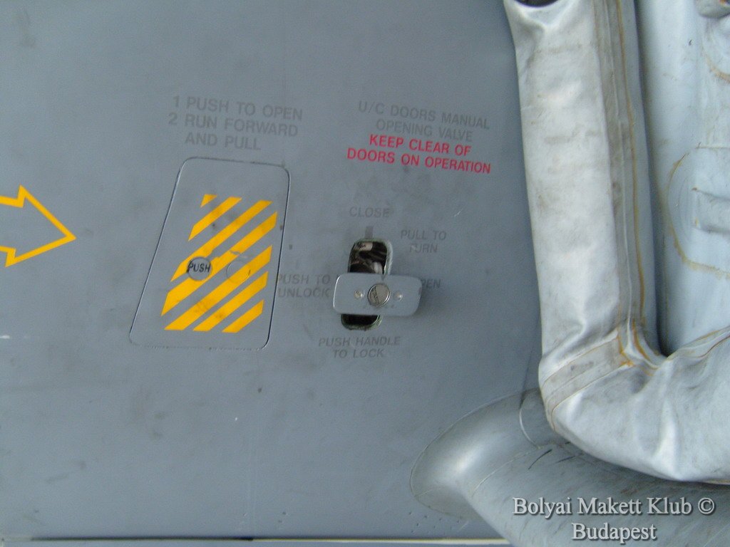 harrier_079.jpg