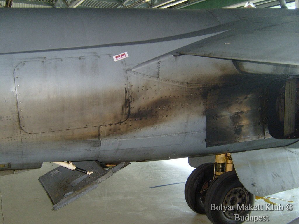 harrier_087.jpg