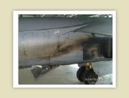 harrier_087.jpg
