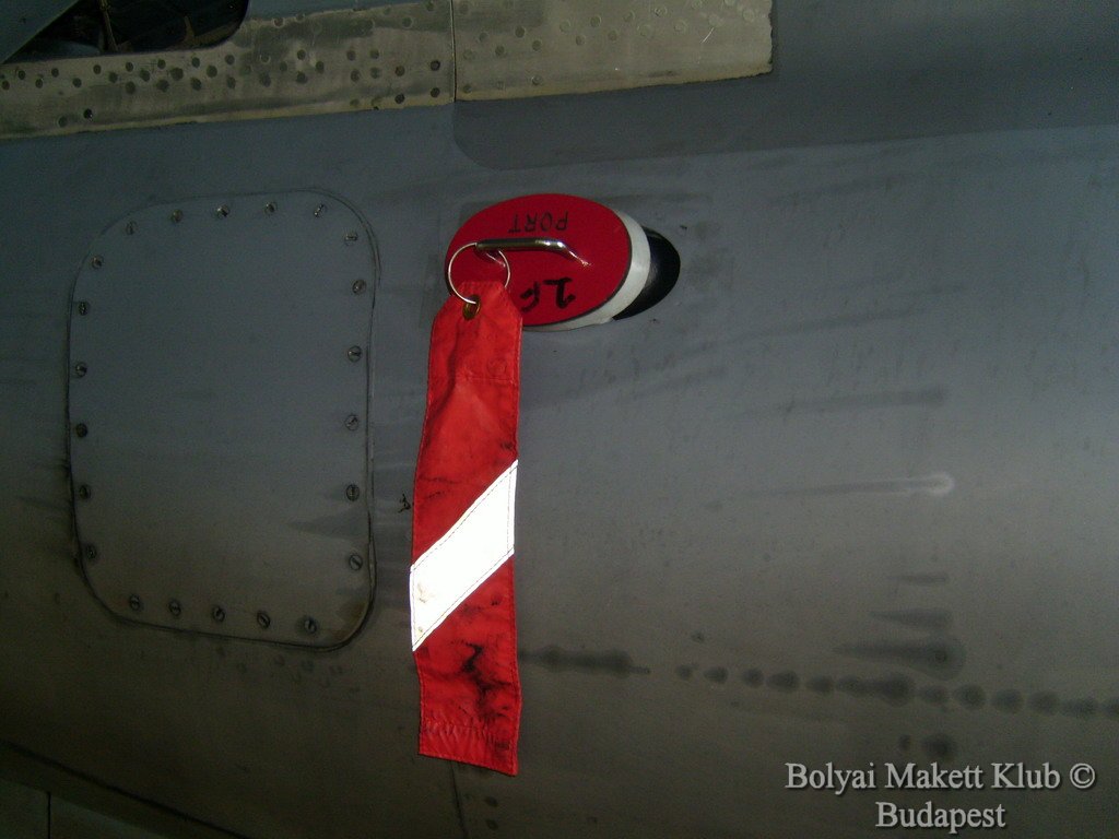 harrier_088.jpg