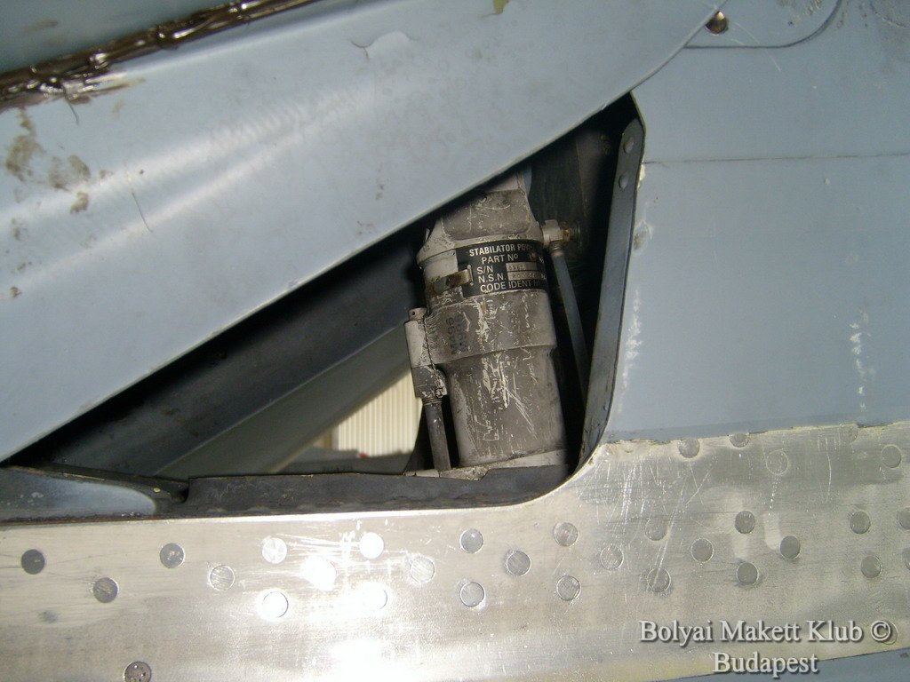 harrier_096.jpg