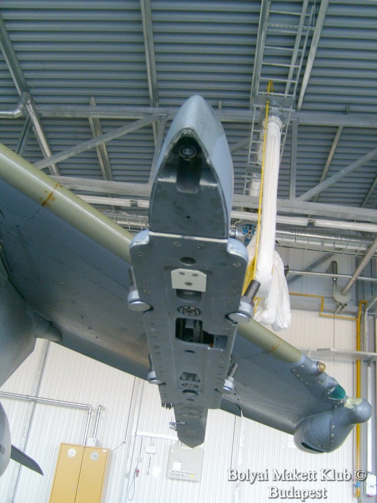 harrier_114.jpg