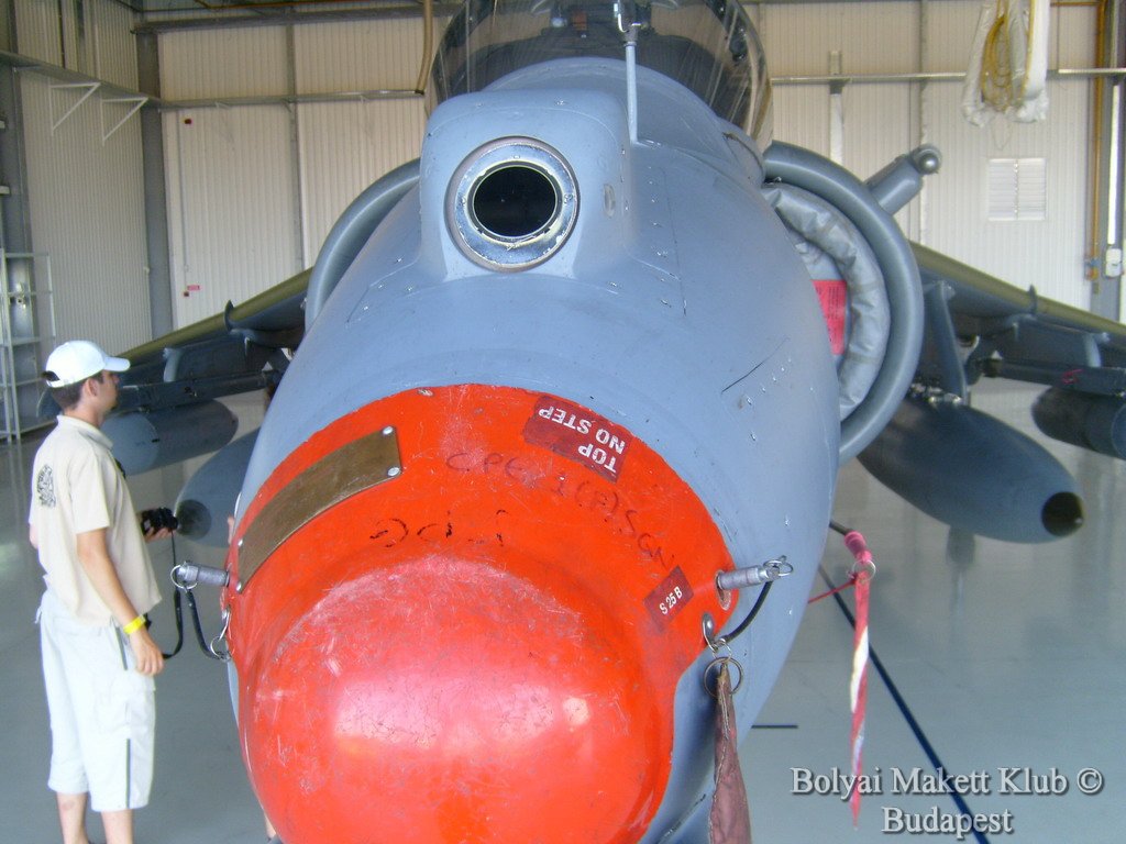harrier_123.jpg