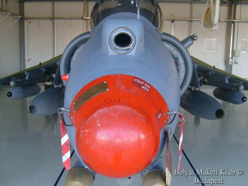 harrier_124.jpg