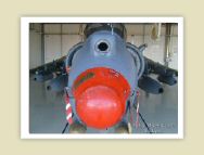 harrier_124.jpg
