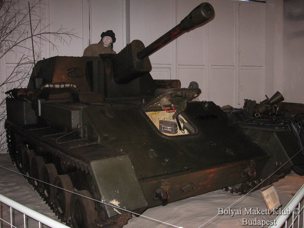 lesany_052.jpg