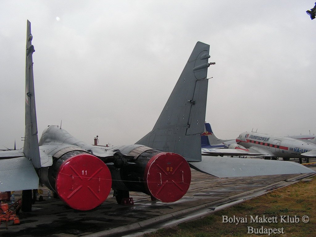 mig29_015.jpg