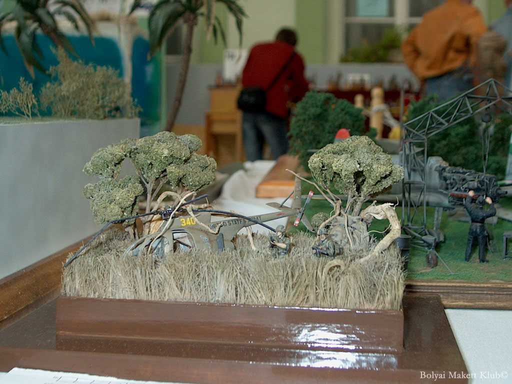 moson06_051.jpg