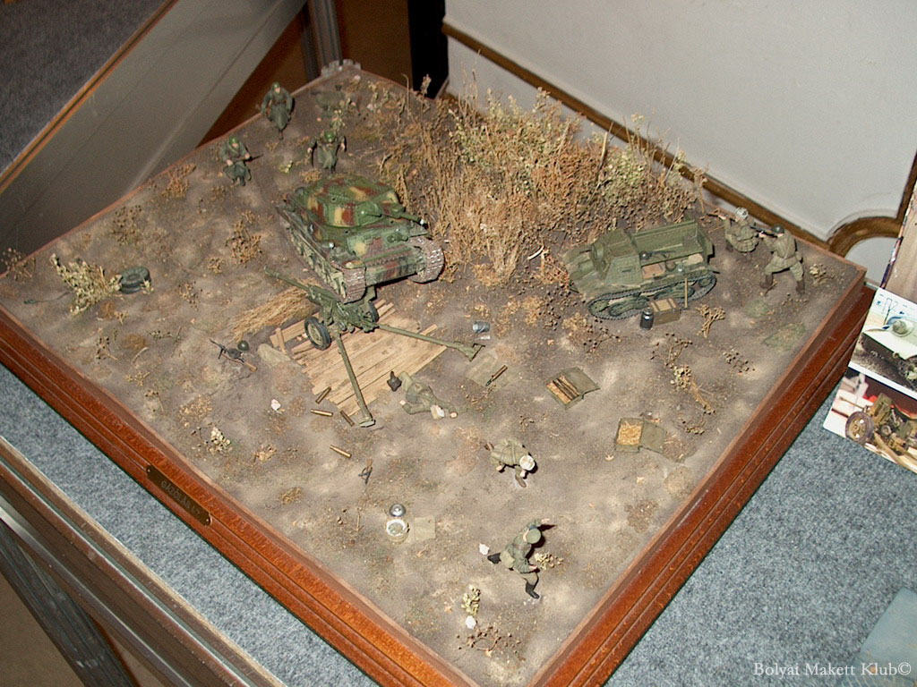 stef05_026.jpg