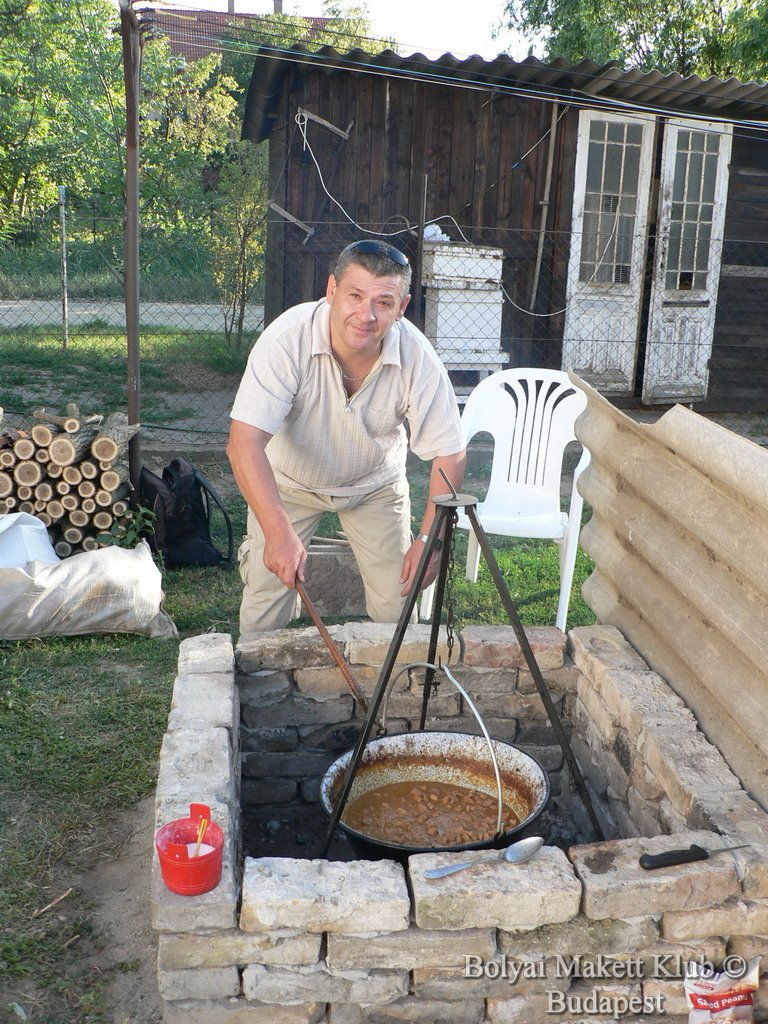 sulysap_021.jpg