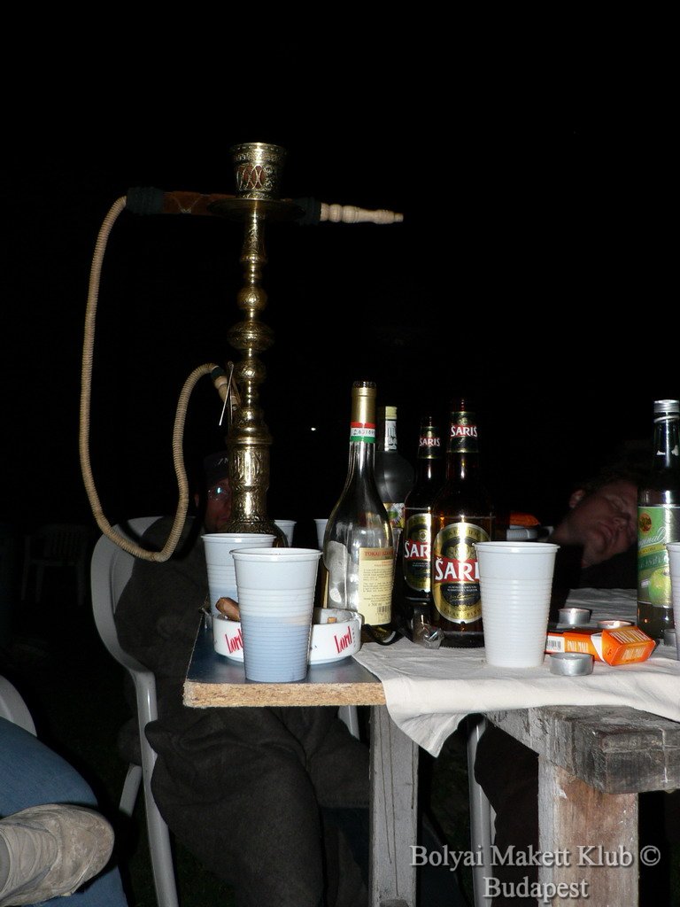 sulysap_041.jpg