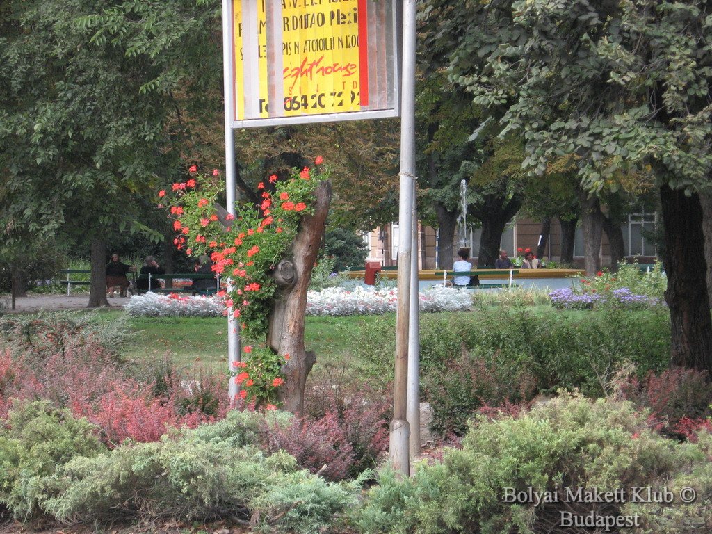 zenta_06_15.jpg